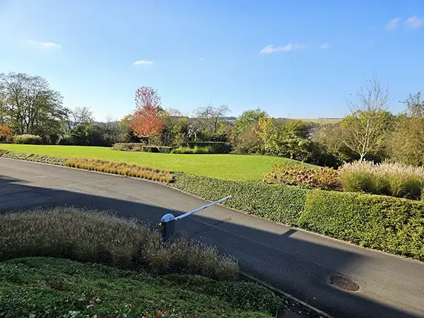 Jardin et ciel bleu dégagé