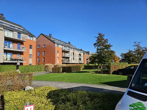 Jardin et ciel bleu dégagé