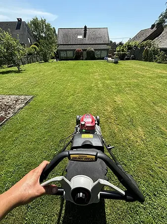 Jardin et ciel bleu dégagé