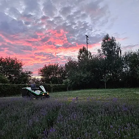 Jardin et ciel bleu dégagé